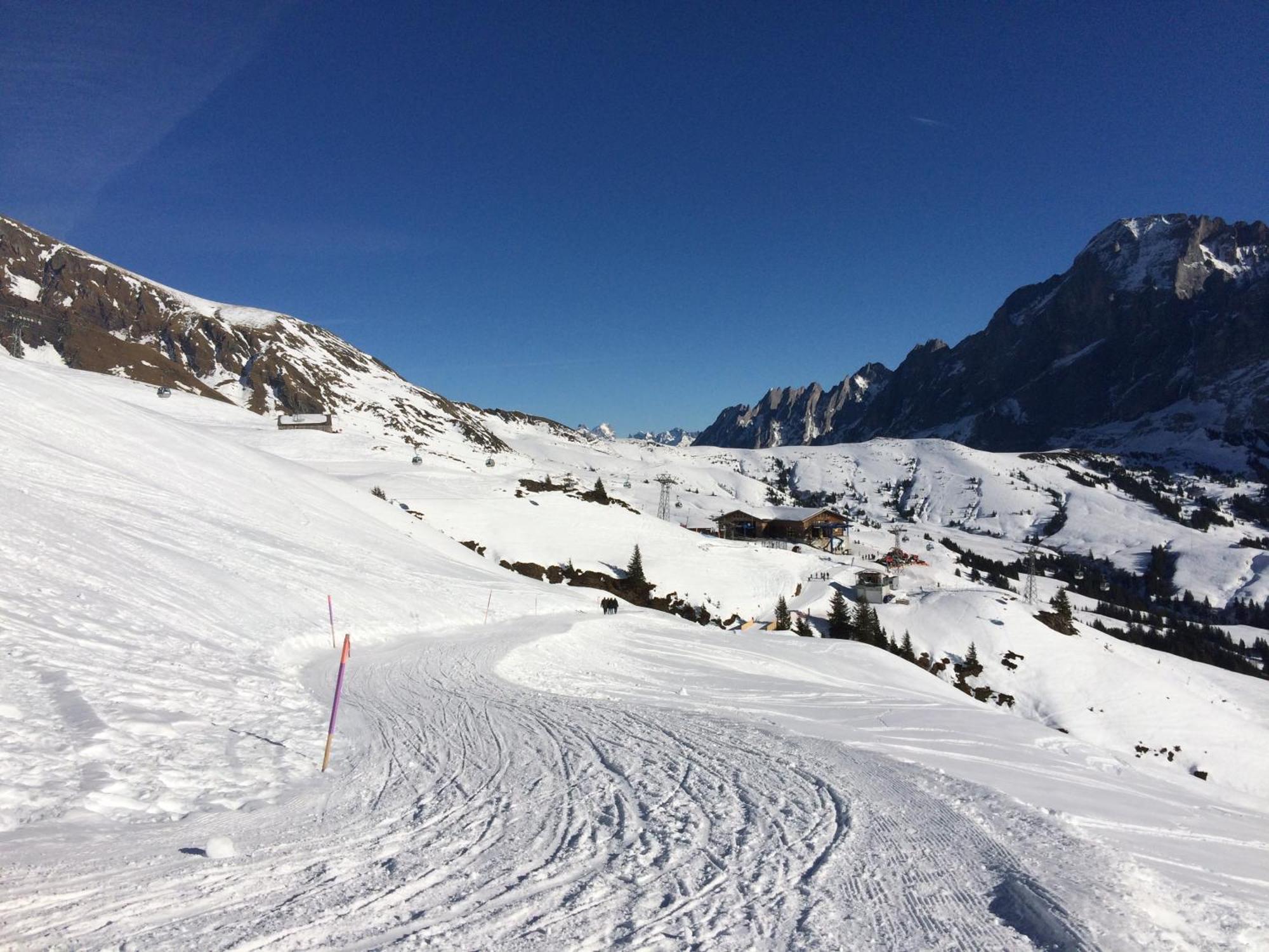 Grindelwald-Sunneblick Apartman Kültér fotó